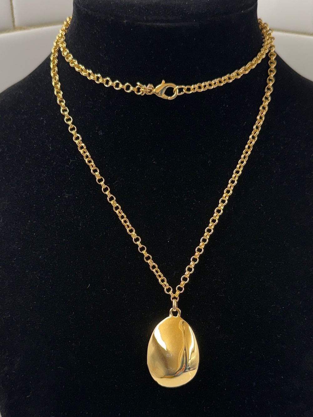 Ann Taylor Gold Layered Necklace with Sculpted Pendant